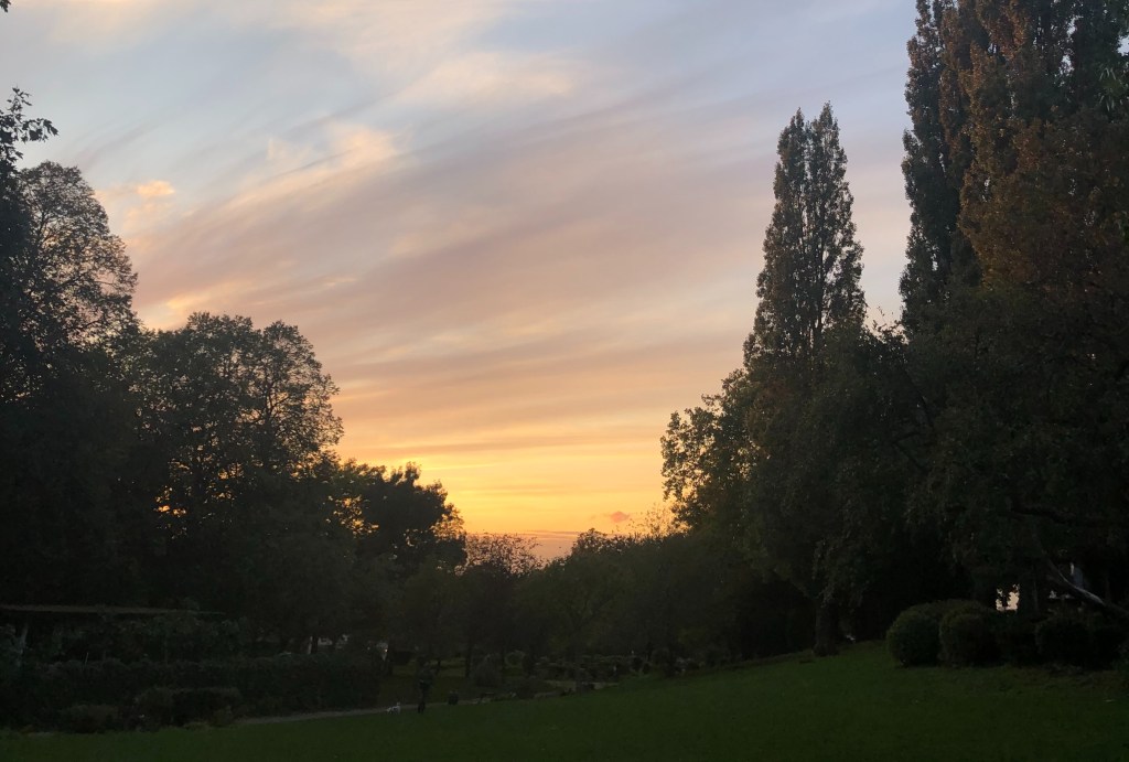 Brexit and my&nbsp;body