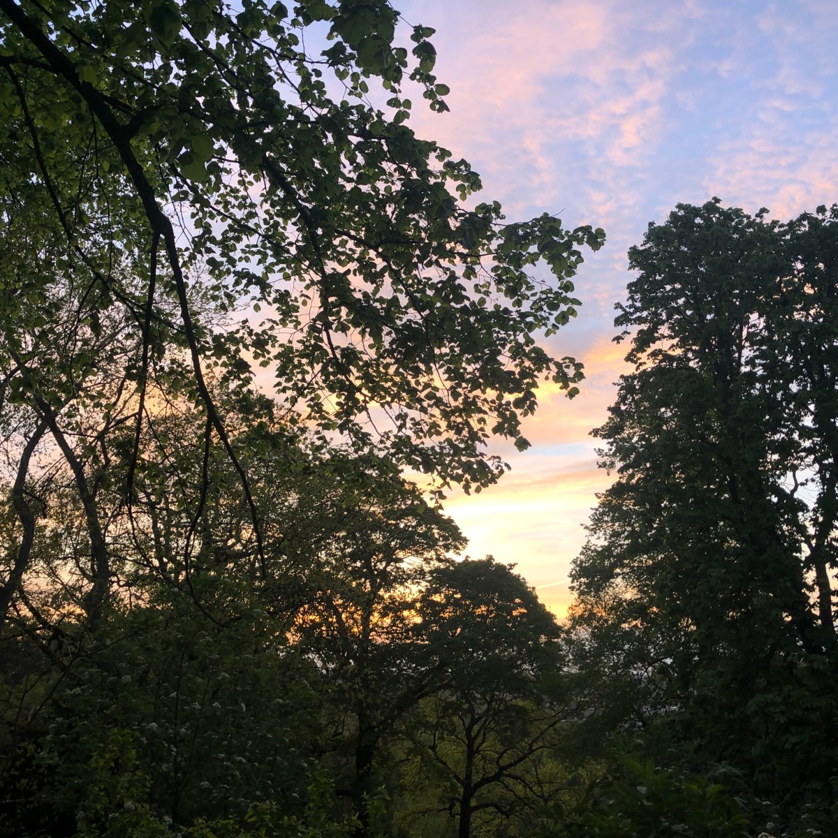 Timing (and science!) is&nbsp;everything