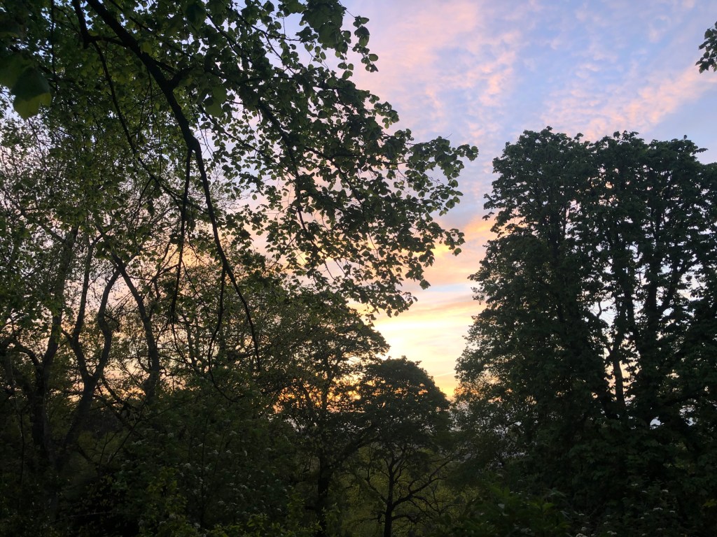 Timing (and science!) is&nbsp;everything